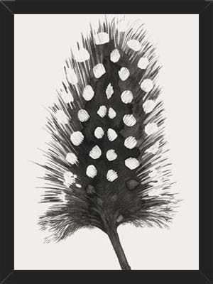 Cuadro Pluma Acuarela 4