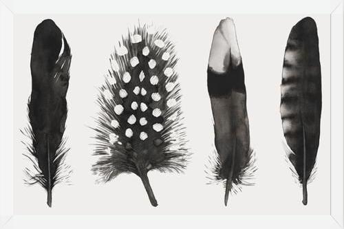 Cuadro Plumas Acuarela