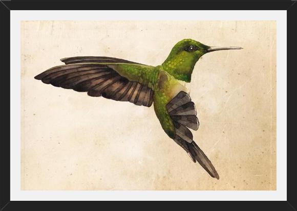 Cuadro Colibrí Verde Acuarela