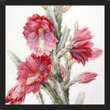 Cuadro Flor de Cactus 02