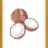 Cuadro COCONUTS