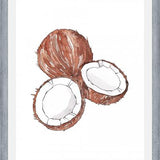 Cuadro COCONUTS