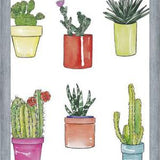 Cuadro CACTUS & PASTEL