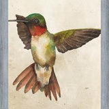 Enmarcado Colibrí Acuarela