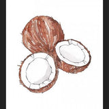 Cuadro COCONUTS
