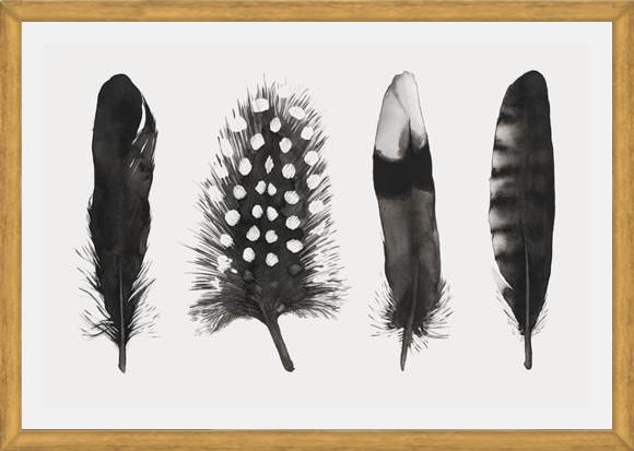 Cuadro Plumas Acuarela