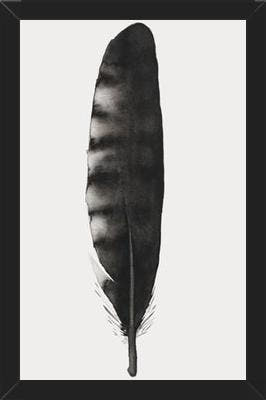 Cuadro Pluma Acuarela 3