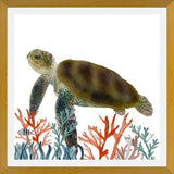 Cuadro Tortuga marina