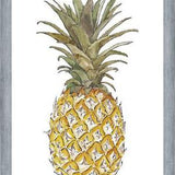Cuadro PIÑA