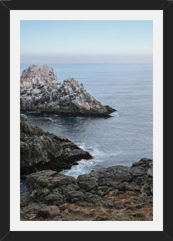 Cuadro PUQUEN II