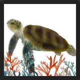 Cuadro Tortuga marina