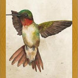 Enmarcado Colibrí Acuarela