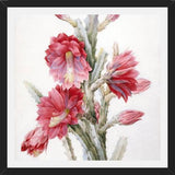 Cuadro Flor de Cactus 02