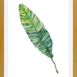 Cuadro HOJA DE PLATANO