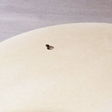 Espejo Media Luna 50 x 25 cms.