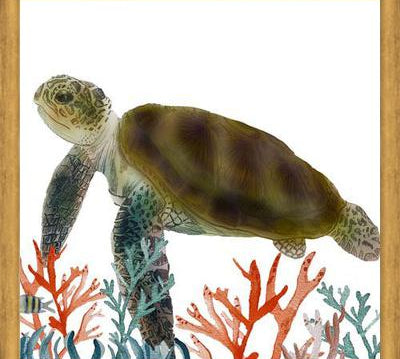 Cuadro Tortuga marina