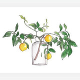 Cuadro Lemon Branch