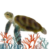Canvas Tortuga marina