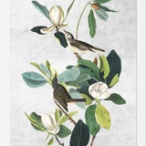 Cuadro Botanical print