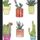 Cuadro CACTUS & PASTEL