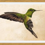 Cuadro Colibrí Verde Acuarela