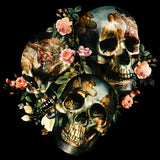 Canvas Skull and Venus