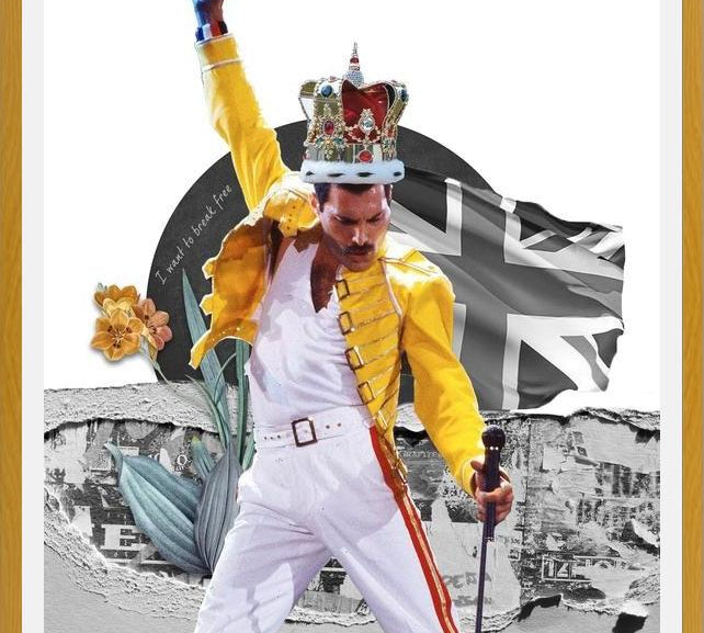 Cuadro Freddie Mercury