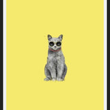 Cuadro Summer Cat