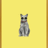 Cuadro Summer Cat