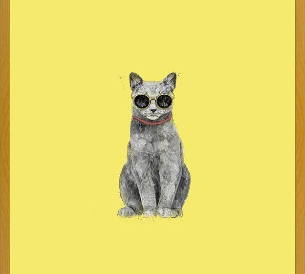Cuadro Summer Cat
