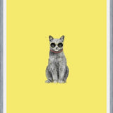 Cuadro Summer Cat