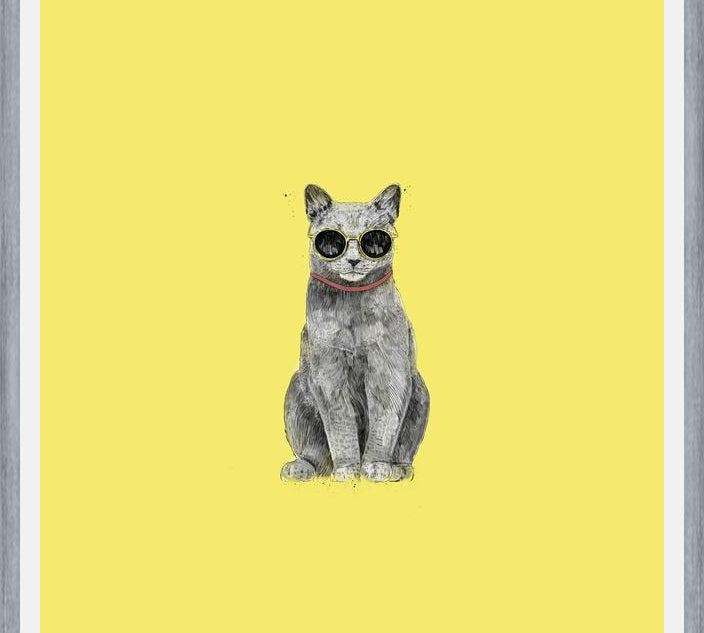 Cuadro Summer Cat