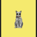 Cuadro Summer Cat