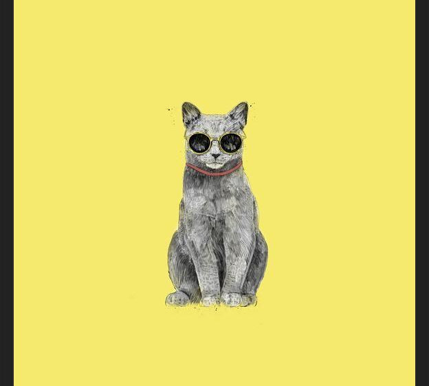 Cuadro Summer Cat