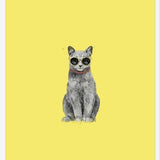 Cuadro Summer Cat