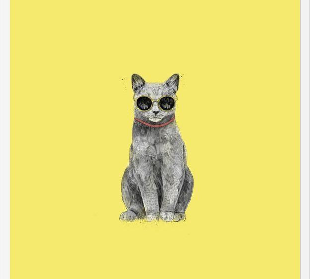 Cuadro Summer Cat