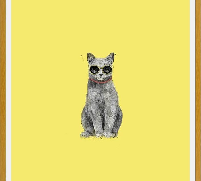 Cuadro Summer Cat