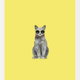 Cuadro Summer Cat