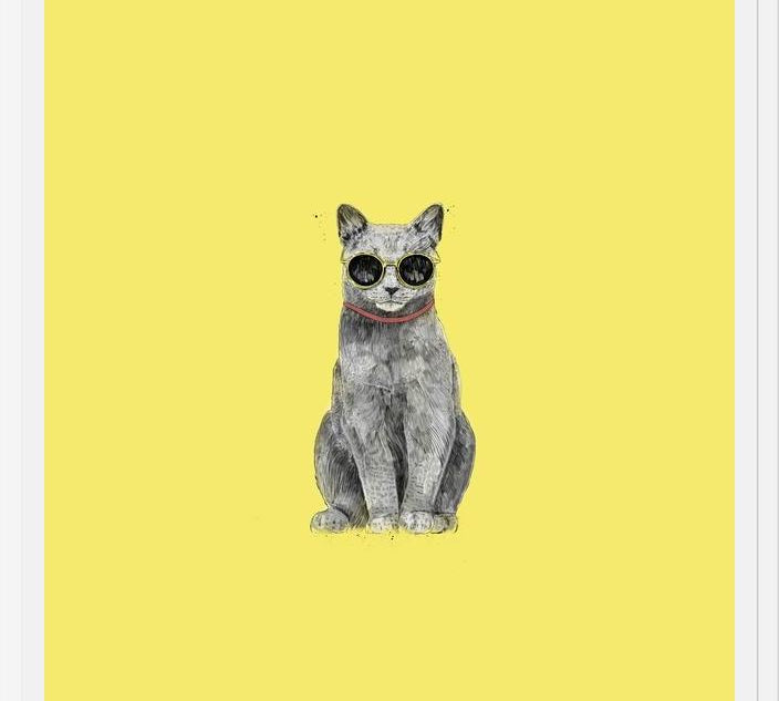 Cuadro Summer Cat