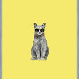 Cuadro Summer Cat