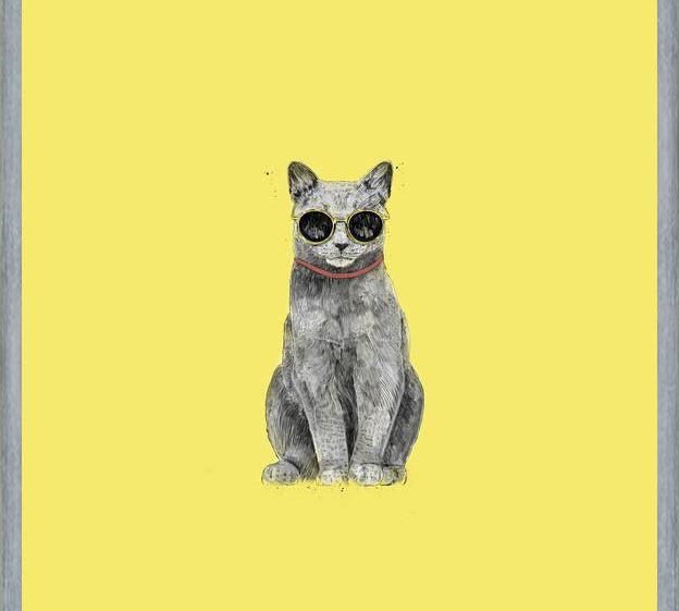 Cuadro Summer Cat