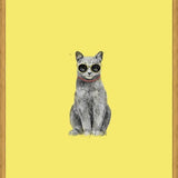 Cuadro Summer Cat