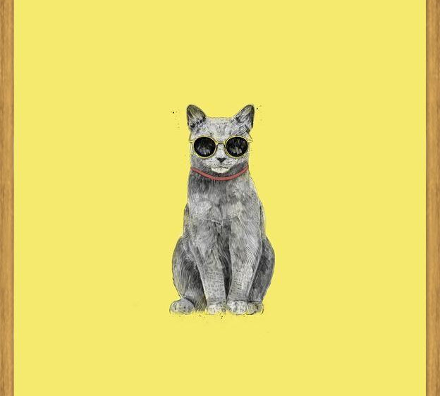 Cuadro Summer Cat