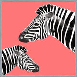 Cuadro Zebra Illustration 001