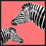 Cuadro Zebra Illustration 001