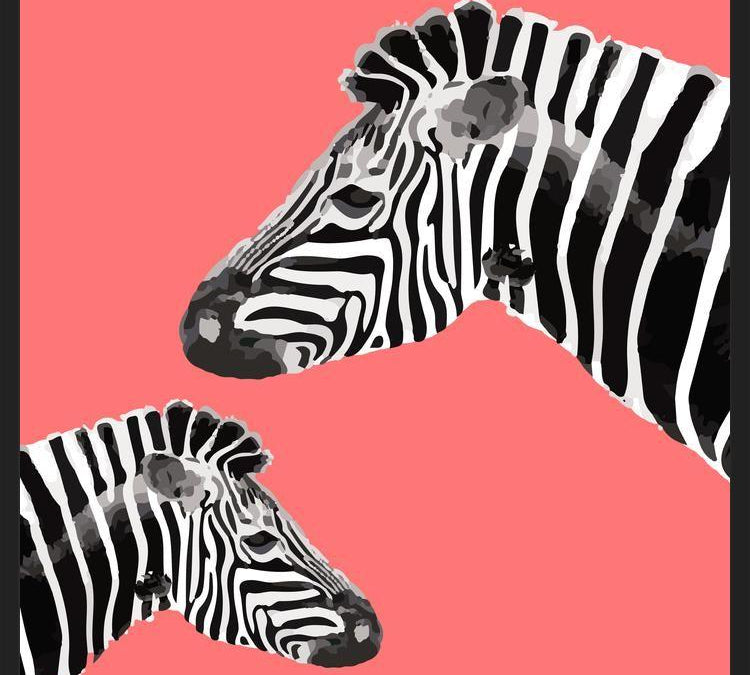 Cuadro Zebra Illustration 001