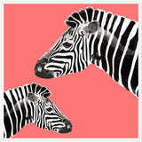 Cuadro Zebra Illustration 001