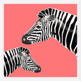 Cuadro Zebra Illustration 001