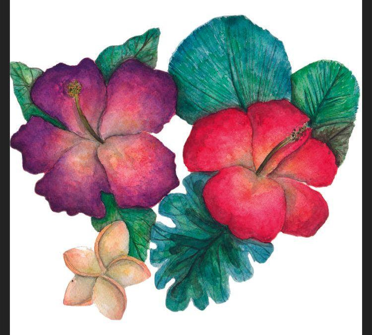 Cuadro Hibiscus