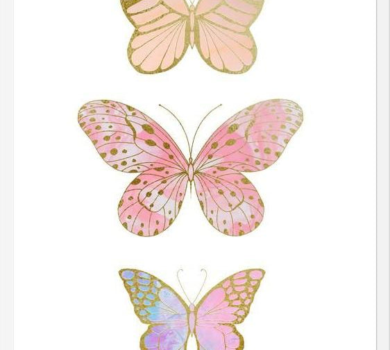 Cuadro Mariposas Doradas